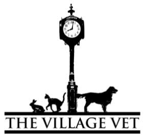 village vet of lewiston